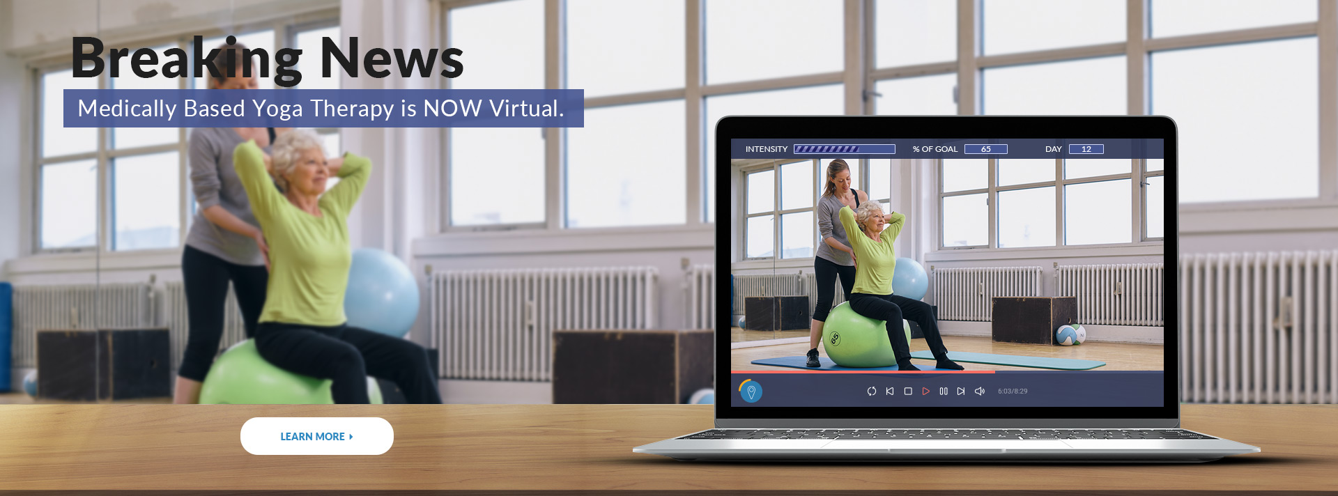 YogaMedics Virtual Therapy